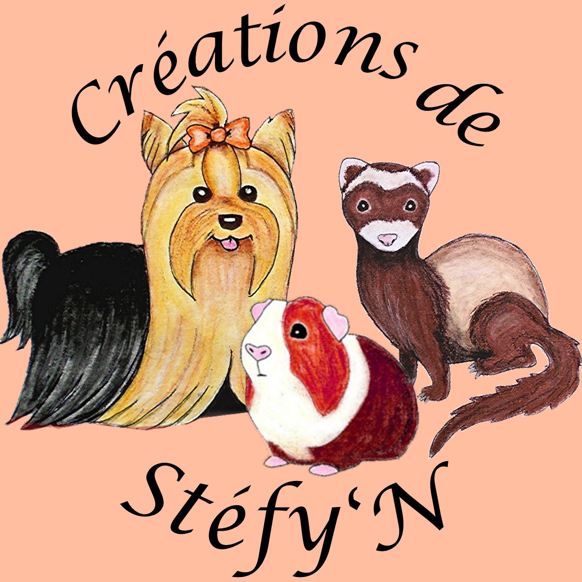 logo creations de stefyn