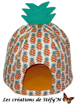 Cabane "ANANAS"