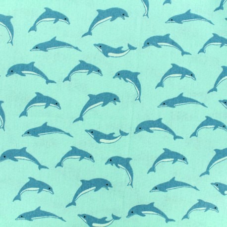 coton dauphin
