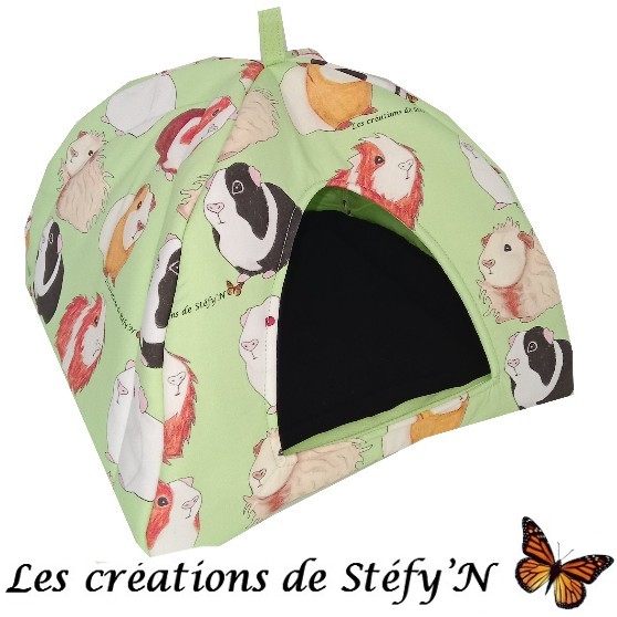 Dôme COCHON D'INDE
